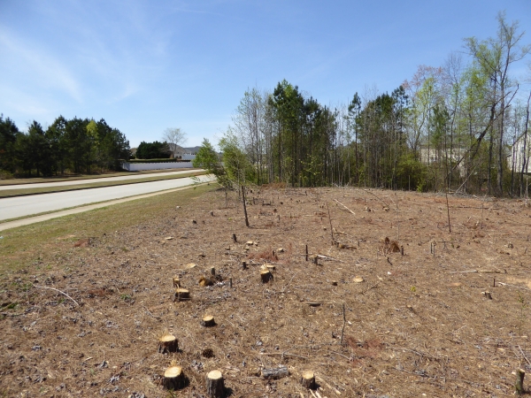 Listing Image #3 - Land for sale at 0 Loop Road, McDonough GA 30253