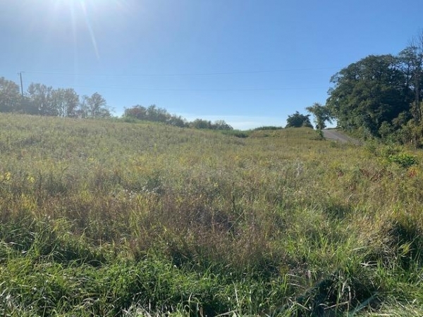Listing Image #1 - Land for sale at Corner 850 E & 1000 N Road, NEW CARLISLE IN 46552 Listing Image #1 - Land for sale at Corner 850 E & 1000 N Road, NEW CARLISLE IN 46552