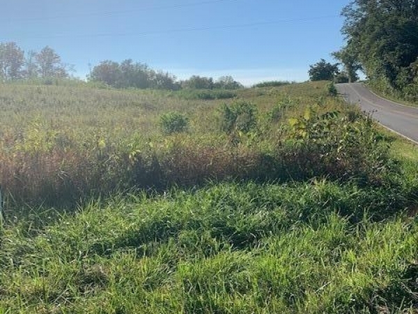 Listing Image #3 - Land for sale at Corner 850 E & 1000 N Road, NEW CARLISLE IN 46552 Listing Image #3 - Land for sale at Corner 850 E & 1000 N Road, NEW CARLISLE IN 46552