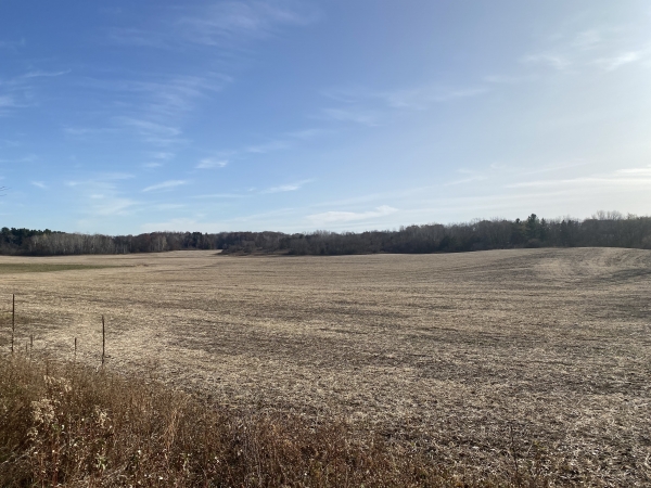 Listing Image #2 - Land for sale at TBD County Rd V, Houlton WI 54082