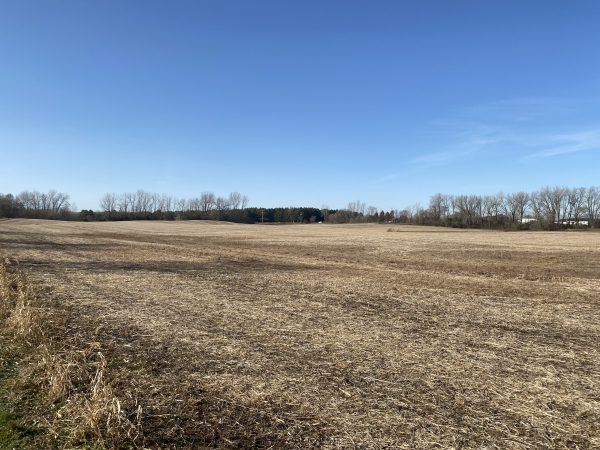 Listing Image #4 - Land for sale at TBD County Rd V, Houlton WI 54082