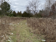 Listing Image #7 - Land for sale at TBD County Rd V, Houlton WI 54082
