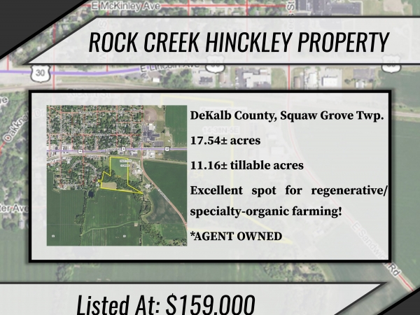 Listing Image #1 - Land for sale at Route 30 and E. Sandwich Road, Hinckley IL 60520