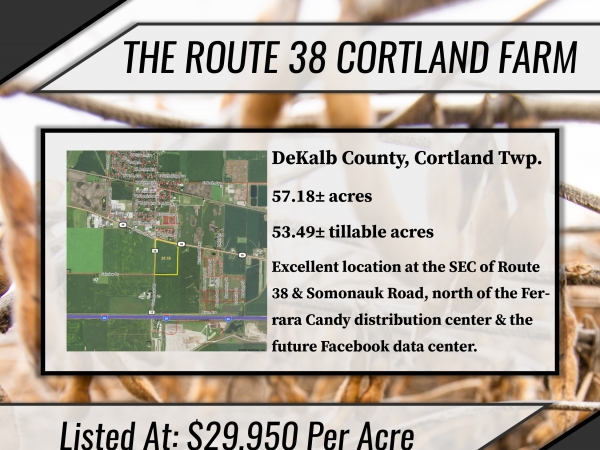 Listing Image #1 - Land for sale at Route 38 & Somonauk Road, Cortland IL 60112
