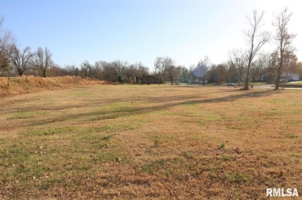Listing Image #2 - Land for sale at Lot 2 S Greenbriar Road, Carterville IL 62918
