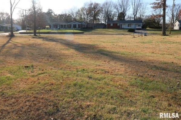 Listing Image #3 - Land for sale at Lot 2 S Greenbriar Road, Carterville IL 62918