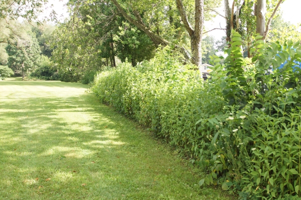 Listing Image #1 - Land for sale at Barrs St. SW, Massillon OH 44647