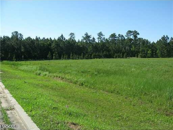 Listing Image #1 - Land for sale at 10 Acres Highway 603, Bay Saint Louis MS 39520