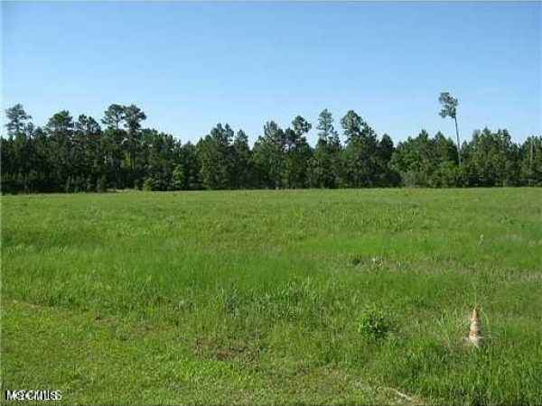 Listing Image #2 - Land for sale at 10 Acres Highway 603, Bay Saint Louis MS 39520