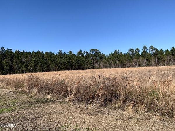 Listing Image #3 - Land for sale at 10 Acres Highway 603, Bay Saint Louis MS 39520