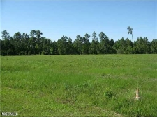 Listing Image #2 - Land for sale at 10 Acres Highway 603, Bay Saint Louis MS 39520