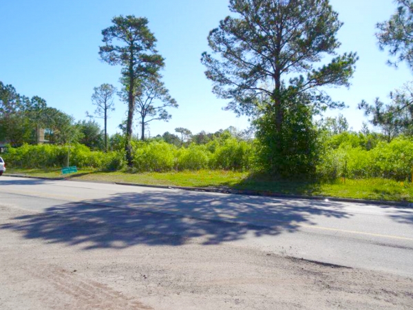 Listing Image #2 - Land for sale at 11101 International Dr, Orlando FL 32821