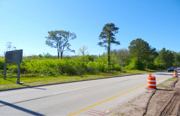 Listing Image #3 - Land for sale at 11101 International Dr, Orlando FL 32821