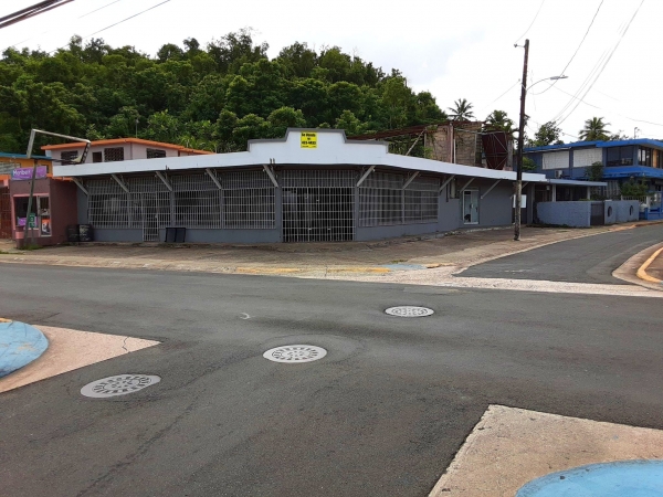 Listing Image #1 - Multi-Use for sale at Munoz Rivera  (PR 676) Corner, Vega Alta PR 00692