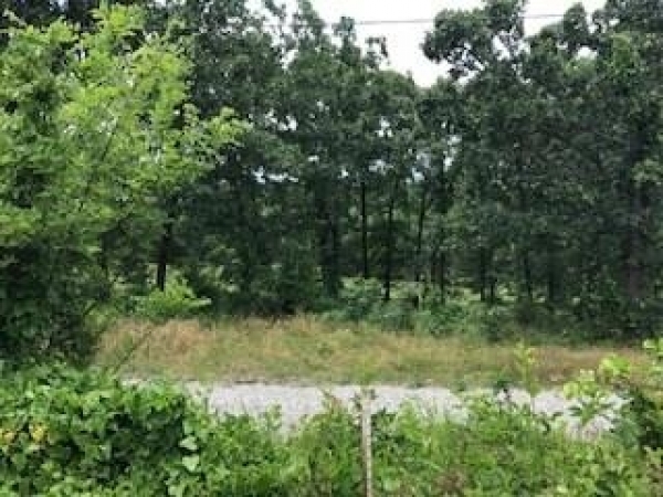 Listing Image #1 - Land for sale at N Lake Lots, Hackett AR 72937
