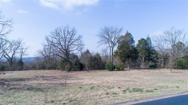 Listing Image #1 - Land for sale at TBD River Overlook Loop, Van Buren AR 72956