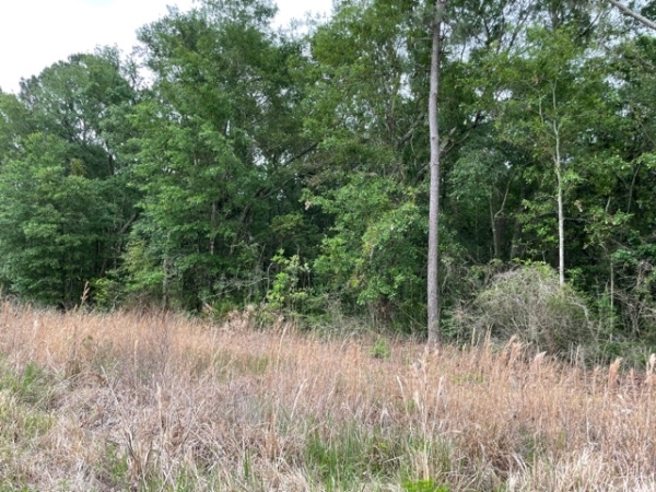 Listing Image #2 - Land for sale at 0 Old Mobile Hwy, Pascagoula MS 39567