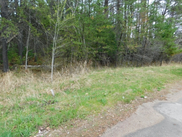 Listing Image #1 - Land for sale at 8.94 Acres on 4th St N, Tomahawk WI 54487