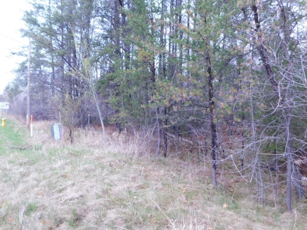 Listing Image #3 - Land for sale at 8.94 Acres on 4th St N, Tomahawk WI 54487