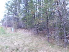 Listing Image #3 - Land for sale at 8.94 Acres on 4th St N, Tomahawk WI 54487