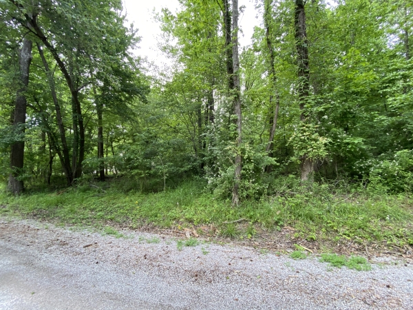 Listing Image #3 - Land for sale at 00 Choctaw Lot R4, Carbondale IL 62901