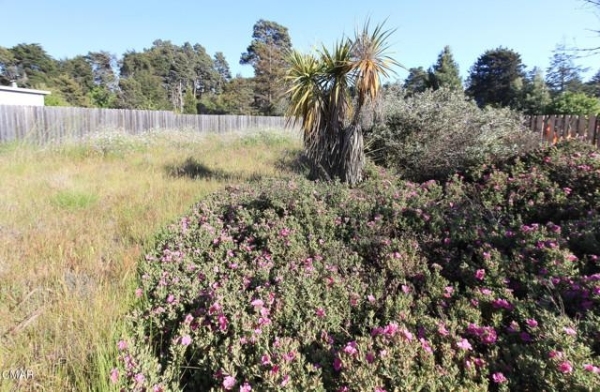 Listing Image #2 - Land for sale at 31051 State Highway 20, Fort Bragg CA 95437