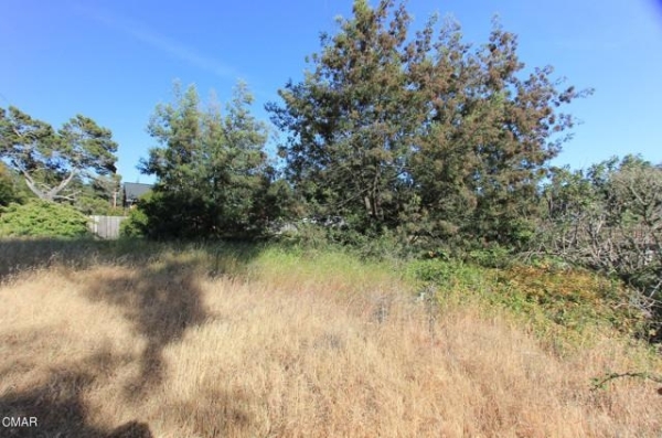 Listing Image #3 - Land for sale at 31051 State Highway 20, Fort Bragg CA 95437