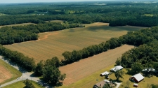 Listing Image #3 - Land for sale at 20150 County Road 55, Silverhill AL 36576