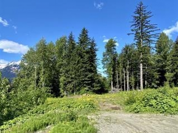Listing Image #1 - Land for sale at Lot A Orchard Subdivision Haines AK 99827, Haines AK 99827