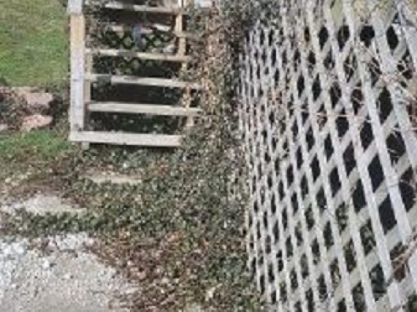 Listing Image #2 - Multi-family for sale at 1409 Whitby Rd, Coal City WV 25823 Listing Image #2 - Multi-family for sale at 1409 Whitby Rd, Coal City WV 25823