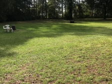 Listing Image #1 - Land for sale at 11595 Normandy Blvd., Jacksonville FL 32221