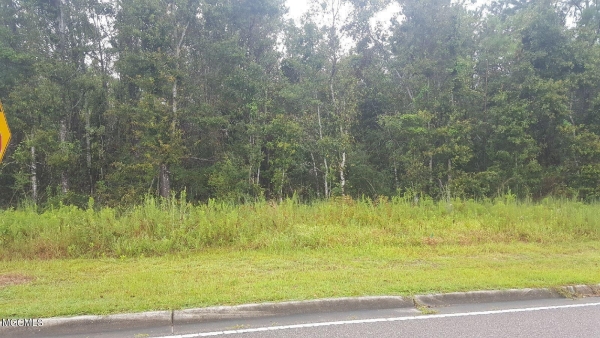 Listing Image #3 - Others for sale at 22 Acres Brodie Road, Biloxi MS 39532