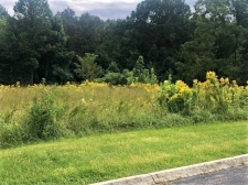 Listing Image #1 - Land for sale at Scott Hwy, Oneida TN 37841 Listing Image #1 - Land for sale at Scott Hwy, Oneida TN 37841