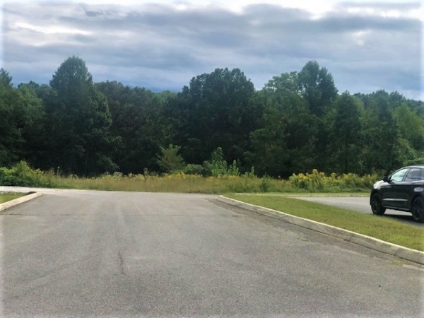 Listing Image #1 - Land for sale at Andrew Dr, Oneida TN 37841 Listing Image #1 - Land for sale at Andrew Dr, Oneida TN 37841