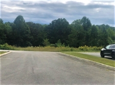 Listing Image #1 - Land for sale at Andrew Dr, Oneida TN 37841