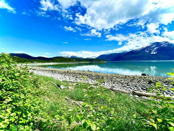 Listing Image #3 - Land for sale at Parcel C Viking Cove Subdivision Lot 3 Haines AK 99827, Haines AK 99827