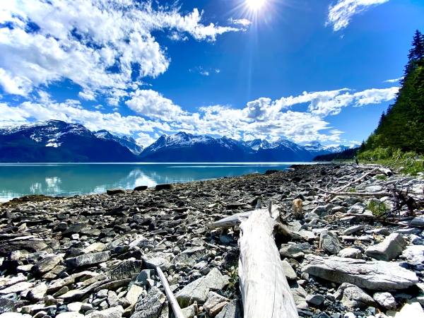 Listing Image #4 - Land for sale at Parcel C Viking Cove Subdivision Lot 3 Haines AK 99827, Haines AK 99827