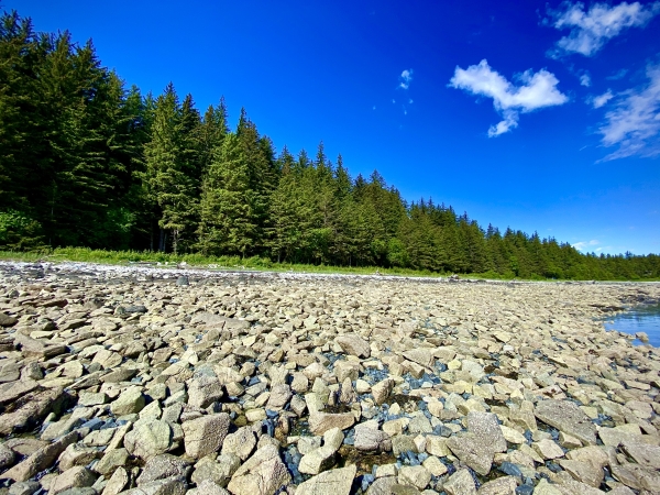 Listing Image #5 - Land for sale at Parcel C Viking Cove Subdivision Lot 3 Haines AK 99827, Haines AK 99827