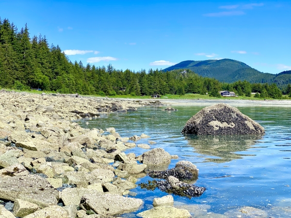 Listing Image #7 - Land for sale at Parcel C Viking Cove Subdivision Lot 3 Haines AK 99827, Haines AK 99827