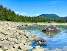Listing Image #7 - Land for sale at Parcel C Viking Cove Subdivision Lot 3 Haines AK 99827, Haines AK 99827