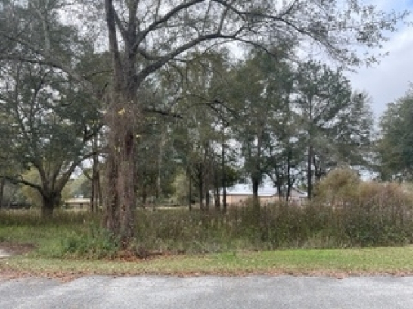 Listing Image #2 - Others for sale at 450 SW Perimeter Glen, Lake City FL 32025