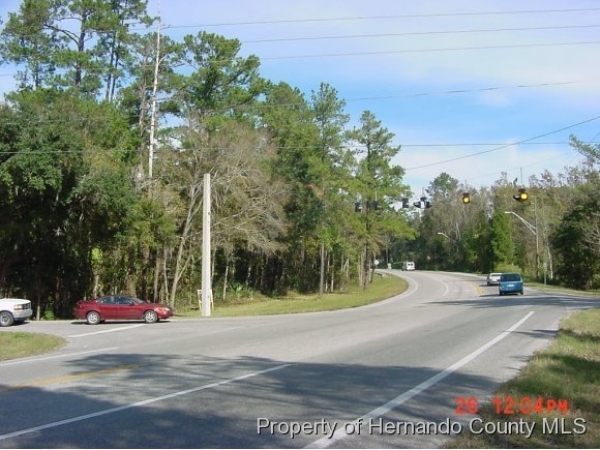 Listing Image #2 - Land for sale at 0000 Broad Street, Brooksville FL 34601