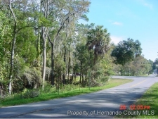 Listing Image #3 - Land for sale at 0000 Broad Street, Brooksville FL 34601