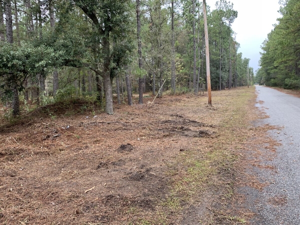 Listing Image #2 - Land for sale at 4938 Woodville Rd, Awendaw SC 29429