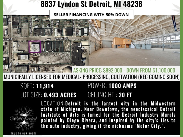 Listing Image #1 - Industrial for sale at 8837 Lyndon, Detroit MI 48238