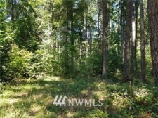 Listing Image #3 - Land for sale at 18642 Rampart Dr SE, Yelm WA 98597