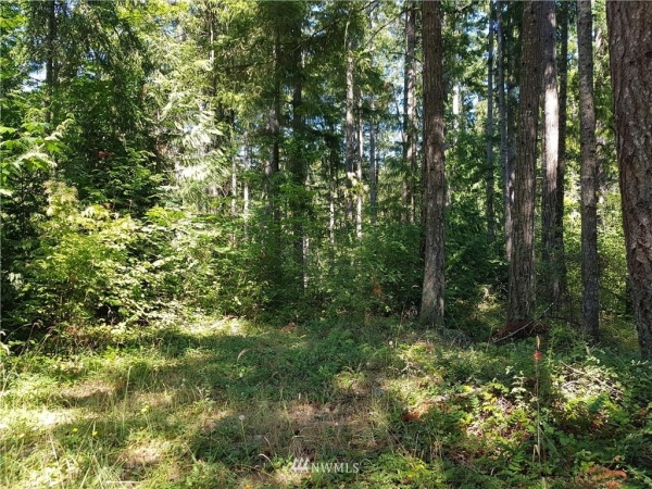 Listing Image #3 - Land for sale at 18702 RAMPART LANE, YELM WA 98597