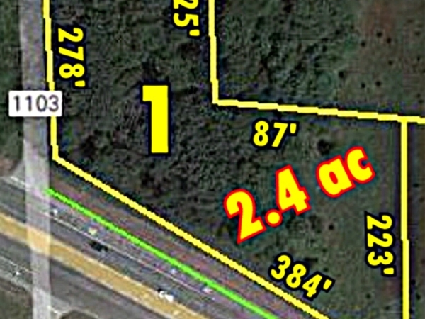 Listing Image #1 - Land for sale at 18687 Hwy 155 S, Flint TX 75762 Listing Image #1 - Land for sale at 18687 Hwy 155 S, Flint TX 75762
