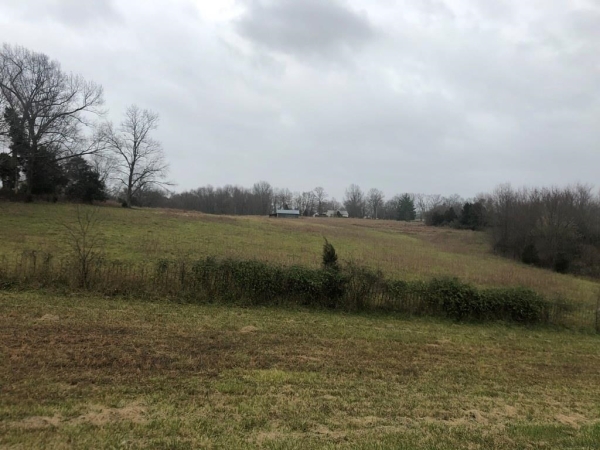 Listing Image #2 - Land for sale at 0 Outer Loop, Glasgow KY 42141