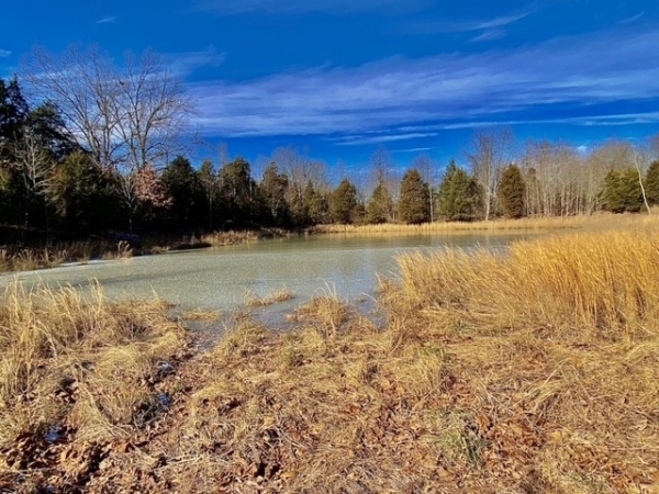 Listing Image #3 - Farm for sale at 1580 Valley Creek Road, Elizabethtown KY 42701